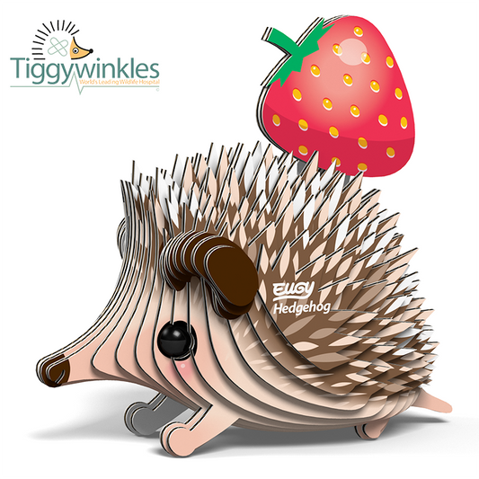 Hedgehog Eugy